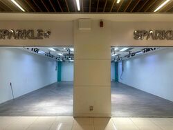 Bukit Timah Plaza / Sherwood Towers (D21), Retail #580701251